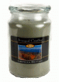 Beanpod Candle Adirondack Mountains 25 oz