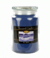 Beanpod Candle Clarity 25 oz - NEW!