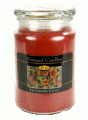 Beanpod Candle Cranberry Clove 25 oz
