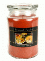 Beanpod Candle Cucumber Melon 25 oz