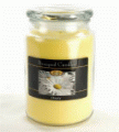 Beanpod Candle Daisy 25 oz
