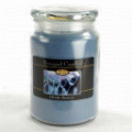 Beanpod Candle Denim Breeze 25 oz