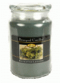Beanpod Candle Eucalyptus Lavender 25 oz