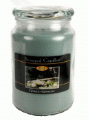 Beanpod Candle Ginko and Ginseng 25 oz