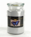 Beanpod Candle Harmony 25 oz