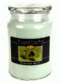 Beanpod Candle Honeydew Melon 25 oz