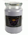 Beanpod Candle Lavender 25 oz