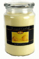 Beanpod Candle Lemon Citrus 25 oz