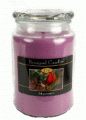 Beanpod Candle Magnolia 25 oz