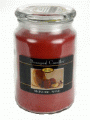Beanpod Candle Mcintosh Apple 25 oz