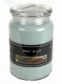 Beanpod Candle Mint Julep 25 oz