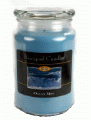 Beanpod Candle Ocean Mist 25 oz
