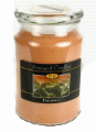 Beanpod Candle Patchouli 25 oz