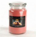 Beanpod Candle Pearberry 25 oz