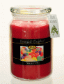 Beanpod Candle Spicettes 25 oz