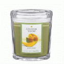Colonial Candles Green Mango 22oz Retired