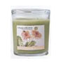 Colonial at Home 22 oz