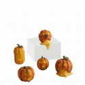 Department 56 Wretched Jack-O-Lanterns Set of 5 4024033