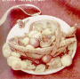 Backyard Orchard Showcase Ornament Nature's Sketchbook 1995 Hallmark Ornament QK1069