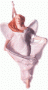 2000 Hallmark Ornaments