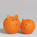 Home Grown Cat Made Of Oranges Figurine 4004839