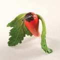 Home Grown Chili Pepper Humming Figurine 4009279