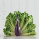 Home Grown Eggplant Peacock Figurine 4014392