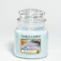 Beach Walk Yankee Candle 14.5 oz - NEW!