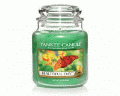 Beautiful Day Yankee Candle 14.5 oz - NEW!