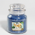 Blueberry Scone Yankee Candle 14.5 oz - NEW!