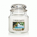 Coconut Bay Yankee Candle 14.5 oz - NEW!