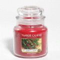 Red Berry & Cedar Yankee Candle 14.5 oz - NEW!