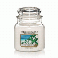 Tahitian Tiare Flower Yankee Candle 14.5 oz - NEW!