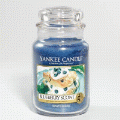 Blueberry Scone Yankee Candle 22 oz - NEW!