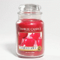 Candied Apple Yankee Candle 22 oz - NEW!