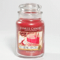 Mulling Spices Yankee Candle 22 oz - NEW!