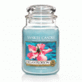 Ocean Blossom Yankee Candle 22 oz - NEW!