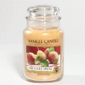 Orchard Pear Yankee Candle 22 oz - NEW!