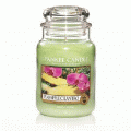 Pineapple Cilantro Yankee Candle 22 oz - NEW!