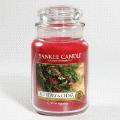 Red Berry & Cedar Yankee Candle 22 oz - NEW!
