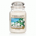 Tahitian Tiare Flower Yankee Candle 22 oz - NEW!