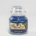 Blueberry Scone Yankee Candle 3.7 oz - NEW!