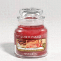 Mulling Spices Yankee Candle 3.7 oz - NEW!