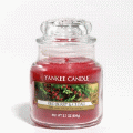 Red Berry & Cedar Yankee Candle 3.7 oz - NEW!
