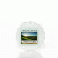 Early Sunrise Full Case of Yankee Tarts - NEW!