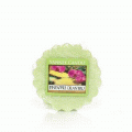 Pineapple Cilantro Full Case of Yankee Tarts - NEW!