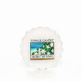 Tahitian Tiare Flower Full Case of Yankee Tarts - NEW!