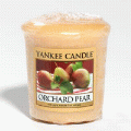 Orchard Pear Full Case of Yankee Votives - NEW!
