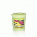 Pineapple Cilantro Full Case of Yankee Votives - NEW!