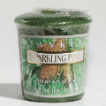 Sparkling Pine Full Case of Yankee Votives - NEW!